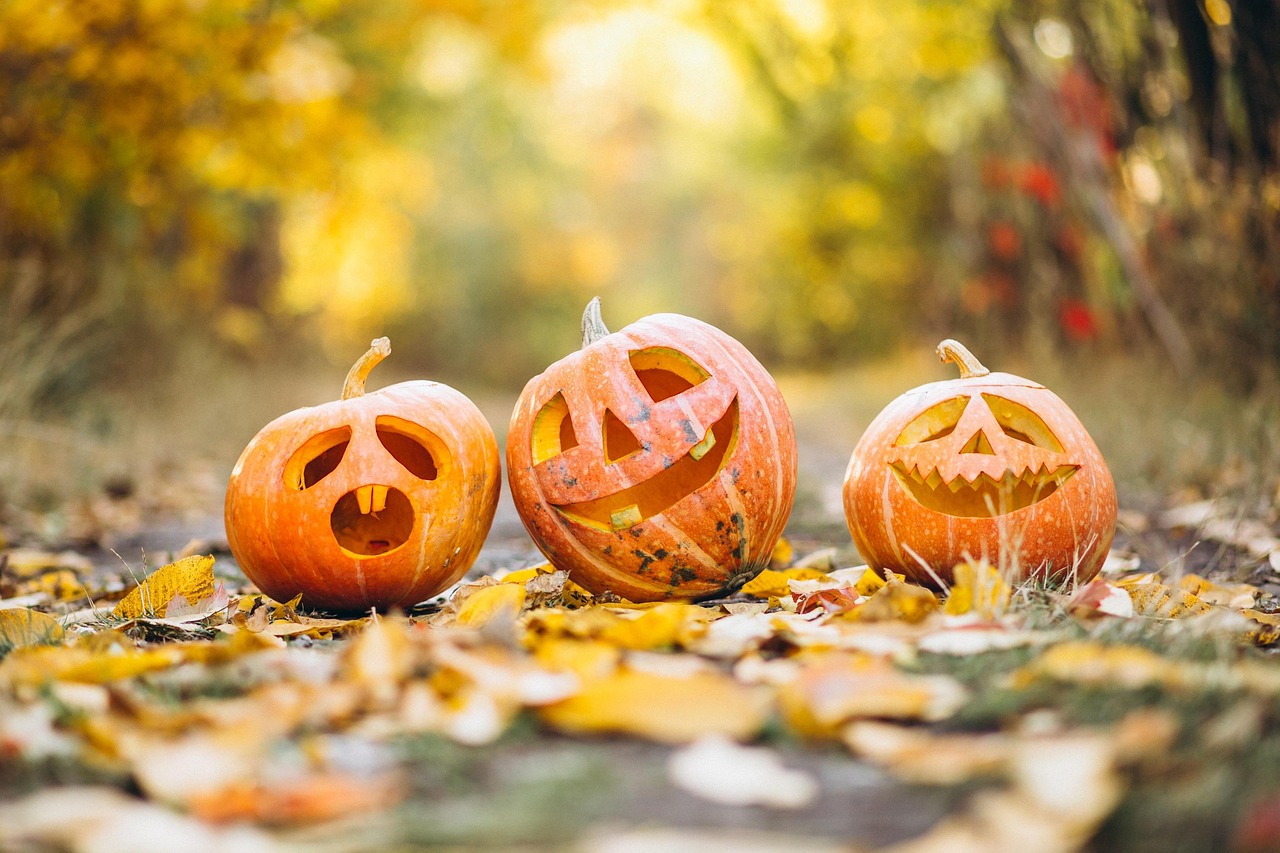 ハロウィンは英語を実際に使う機会になった