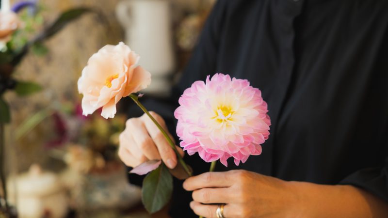 英語で植物・花・枝の数え方を知って、もっと自然を楽しもう！