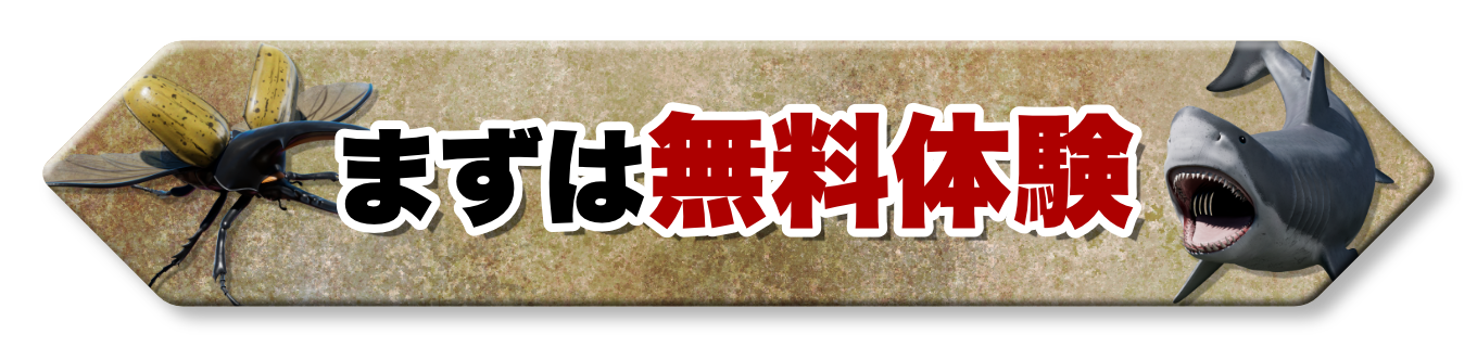 無料体験はこちら