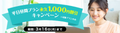 平日昼間プラン永久1,000円割引キャンペーン